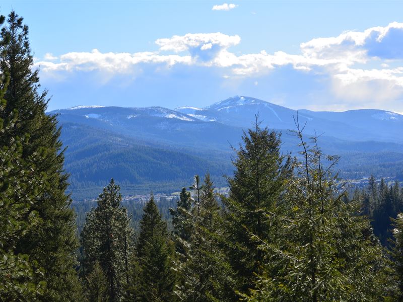 Rogstad Recreation 2 : Blanchard : Bonner County : Idaho