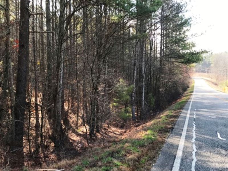 Pine Mountain Tract : Talking Rock : Gilmer County : Georgia