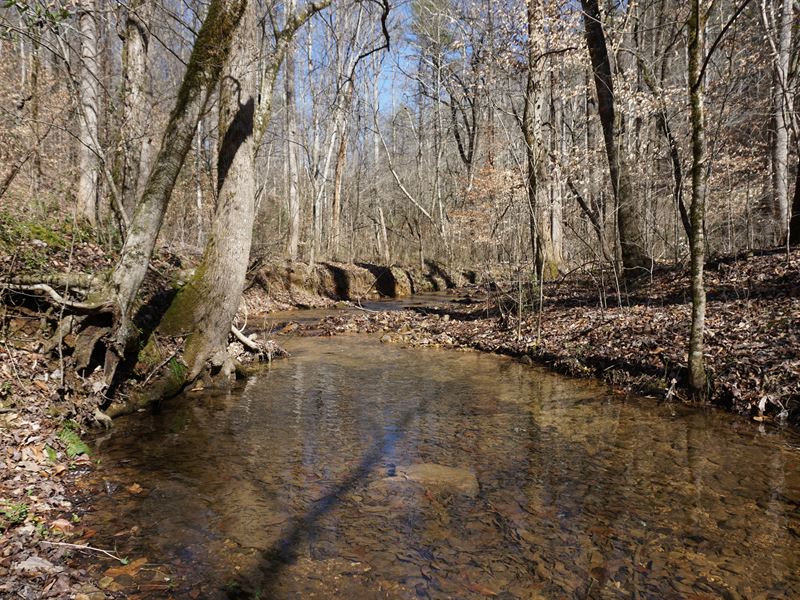 Acreage in Cherokee National Forest : Reliance : Polk County : Tennessee