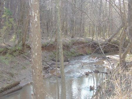 Turkey Creek Tract : Blair : Fairfield County : South Carolina