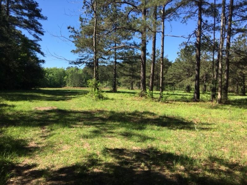 22.64 Acres Pike Co : McComb : Pike County : Mississippi