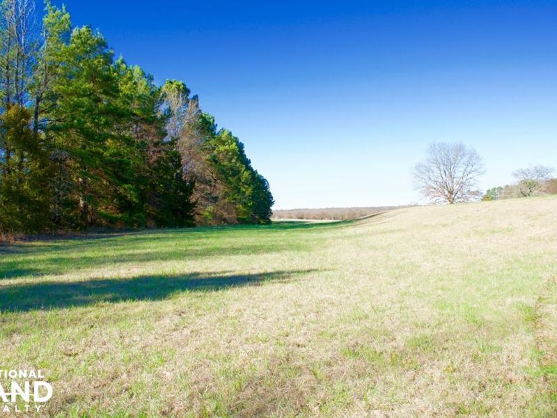 Hwy 304 - Home and Acreage : Hernando : Desoto County : Mississippi