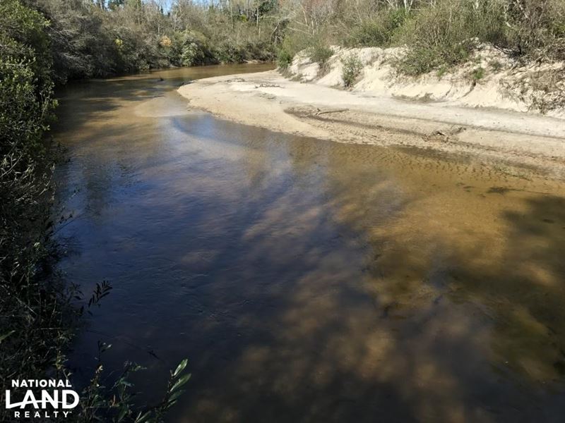 The Puppy Creek Earlville Road Trac : Citronelle : Mobile County : Alabama