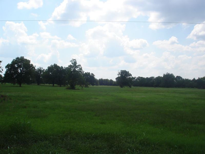Country Acreage Building Site : Pattonville : Lamar County : Texas