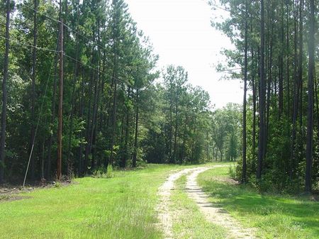 Wolfe Creek Farm : Walterboro : Colleton County : South Carolina