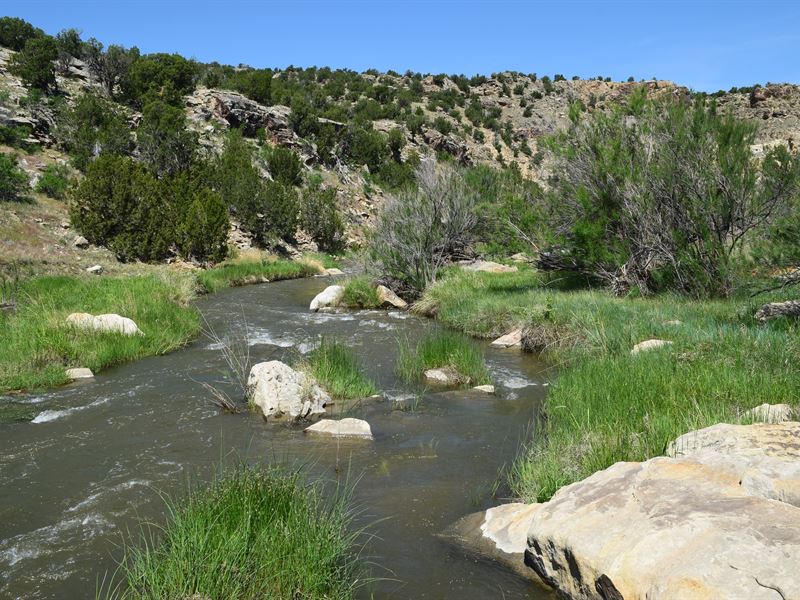 Cucharas Canyon Ranch : Walsenburg : Huerfano County : Colorado