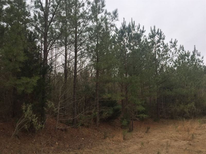 Welch Road Properties : Robbins : Moore County : North Carolina