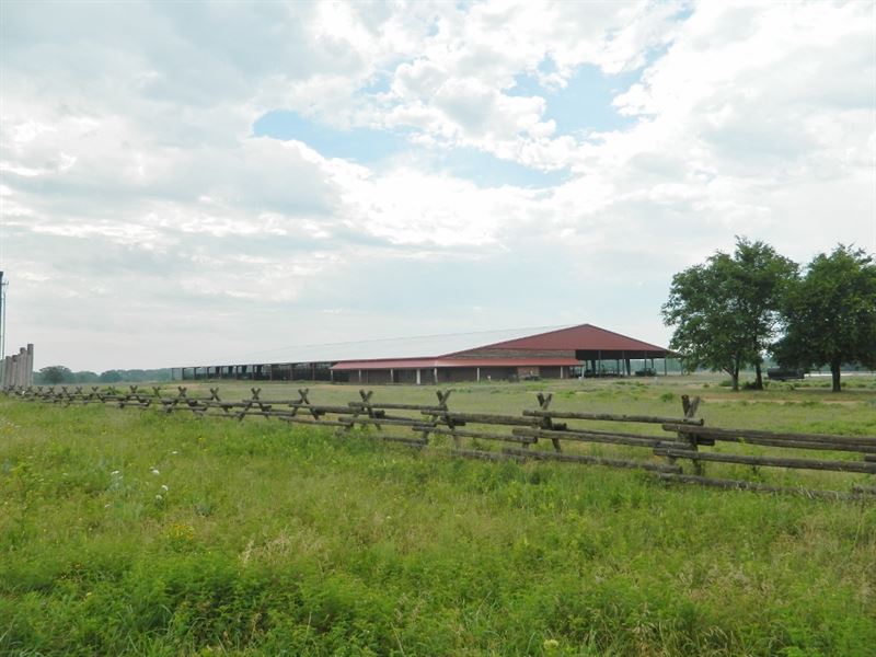 451+ Acres : Sulphur Bluff : Hopkins County : Texas