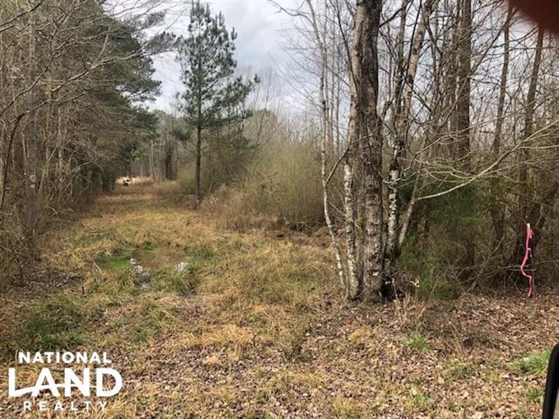 Noxapater 80 Timber Tract : Noxapater : Winston County : Mississippi