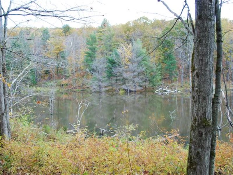 On Line Creek - North Of Catskills : Middleburgh : Schoharie County : New York