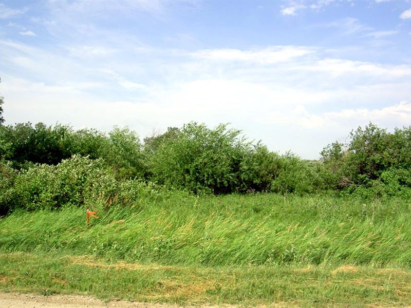 40 Acres with Year Round Trout Str : Ulen : Clay County : Minnesota
