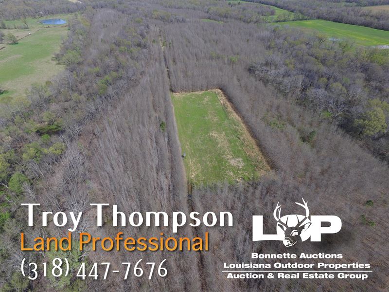 Income Producing Hunting Property : Crowville : Franklin Parish : Louisiana