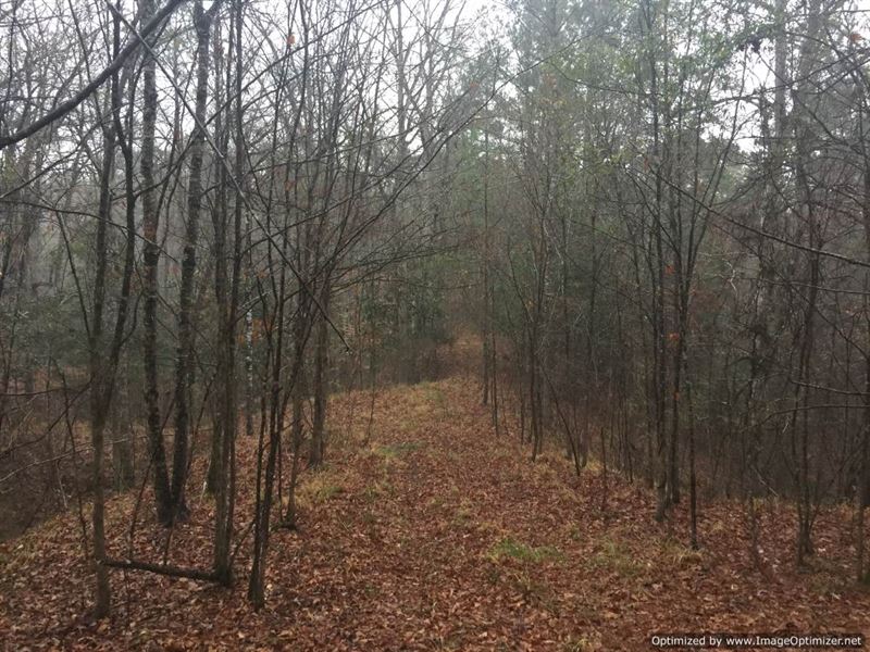 15+/- Weekend Getaway : Roxie : Franklin County : Mississippi