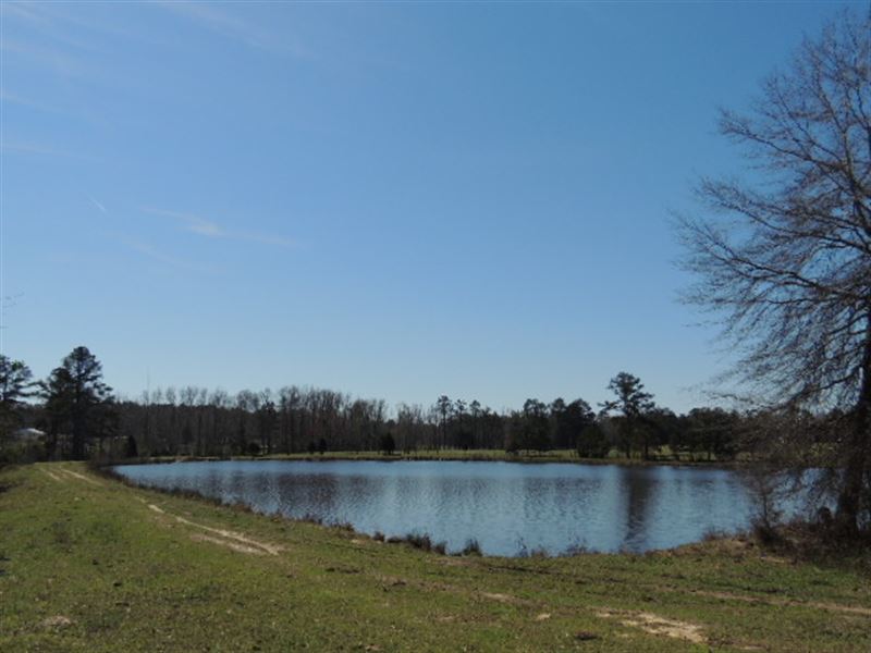 478.86 Ac On Mount Carmel Road : Gay : Meriwether County : Georgia