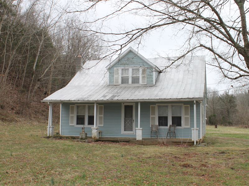 106 Acres - Chestnut Grove Rd : Columbia : Adair County : Kentucky