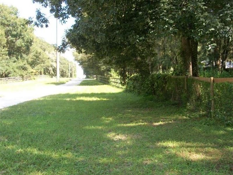 10 Acs in Horse Community : Dade City : Pasco County : Florida