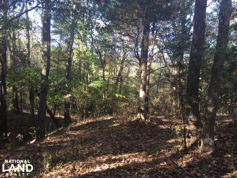 Recreational, Timberland, Homesite : Pontotoc : Pontotoc County : Mississippi