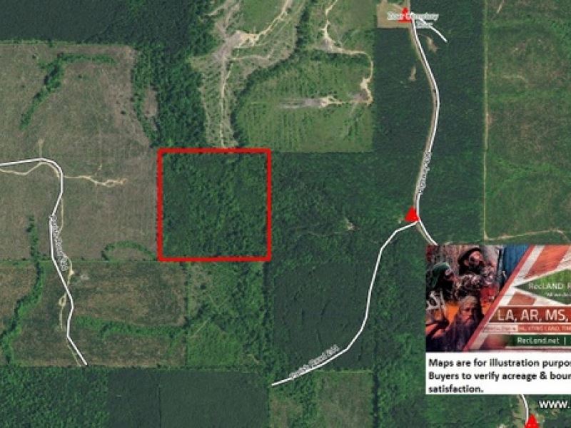 40 Ac, Hunting & Timberland So : Chatham : Jackson Parish : Louisiana