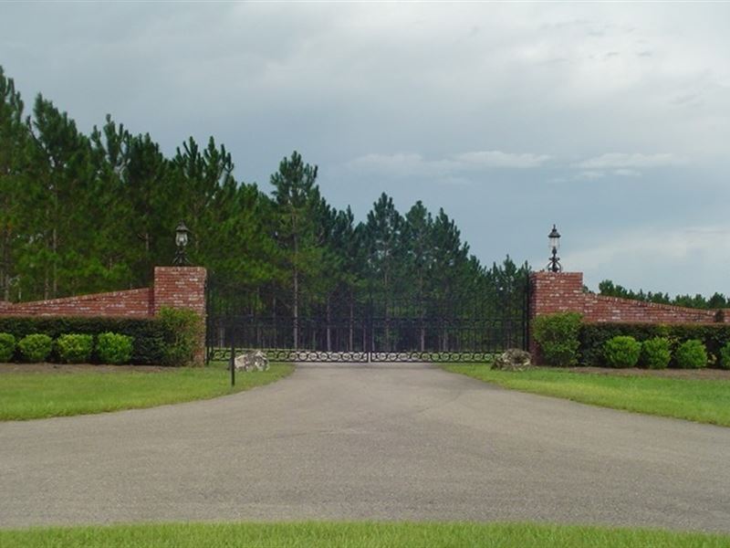 430 Acre Working Thoroughbred Farm : Williston : Marion County : Florida