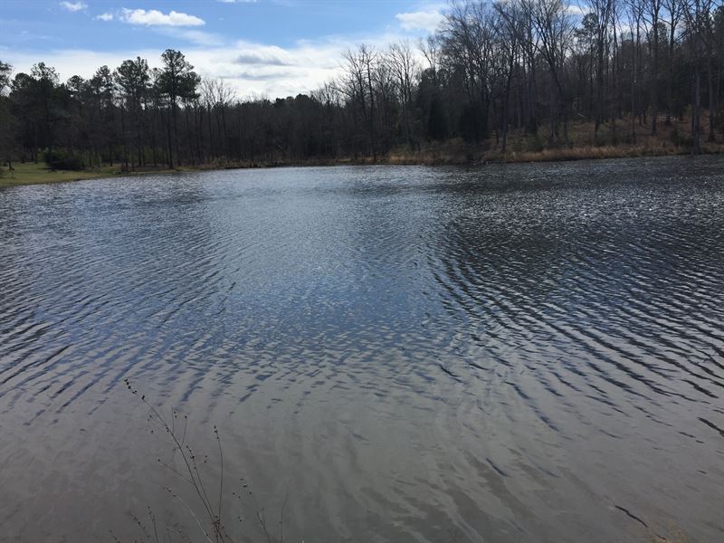 The Pond At Amity : Lincolnton : Lincoln County : Georgia