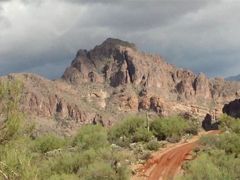 Arizona 20 Acre Gold Mining Claim : Queen Valley : Pinal County : Arizona