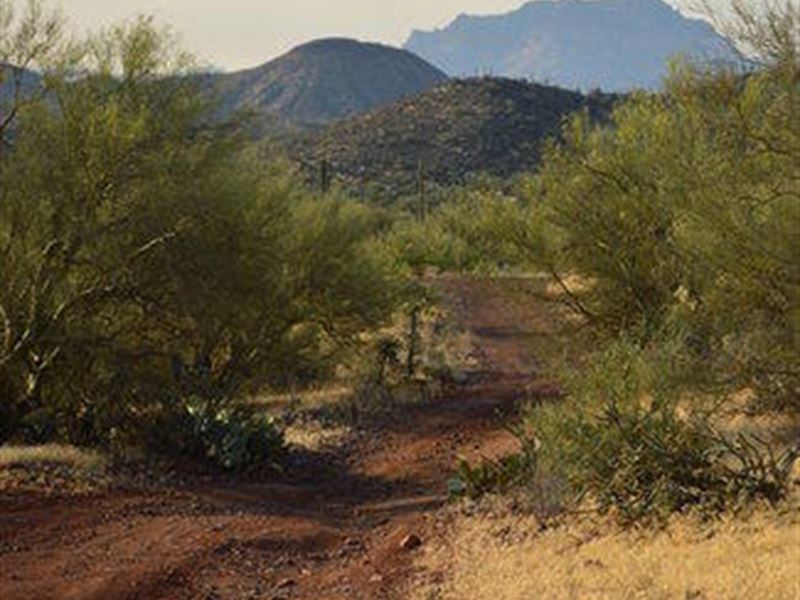 20 Acre Arizona Gold Mining Claim : Queen Valley : Pinal County : Arizona