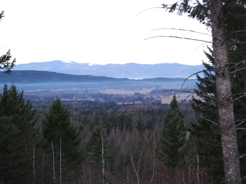 Turnkey Organic Growing Operation : Bigfork : Flathead County : Montana