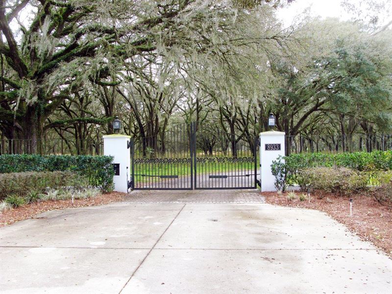 78.3 Acres for Development : Dade City : Pasco County : Florida