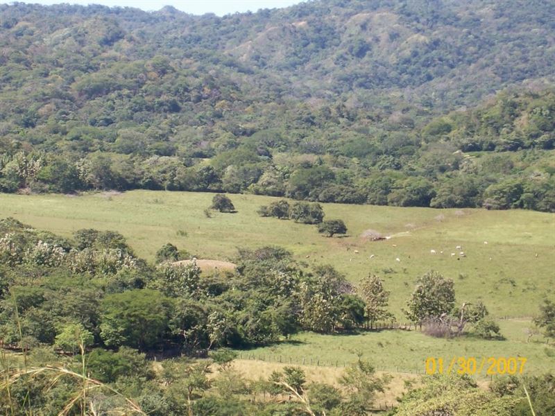 Farm for Eco Lodge Or Equestrian : Guanacaste : Costa Rica
