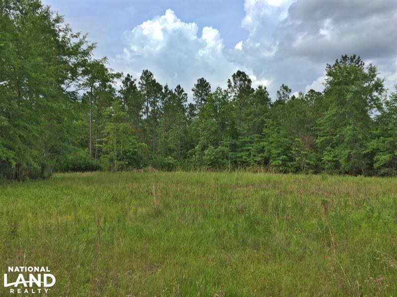 The Saraland Celeste Road Tract : Saraland : Mobile County : Alabama