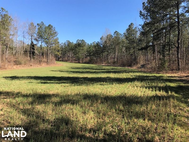Screaming Eagle Hunting and Timberl : Eastover : Richland County : South Carolina