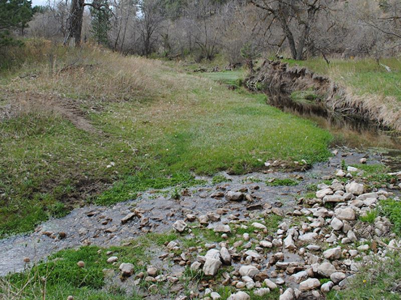 Canyon Ranch : Harrison : Scotts Bluff County : Nebraska