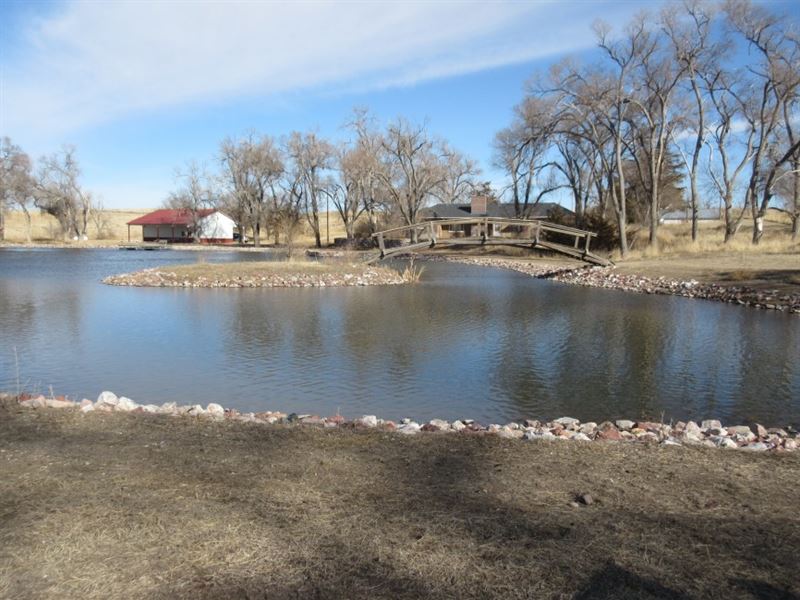 Oasis Fish and Fowl : Dalton : Morrill County : Nebraska