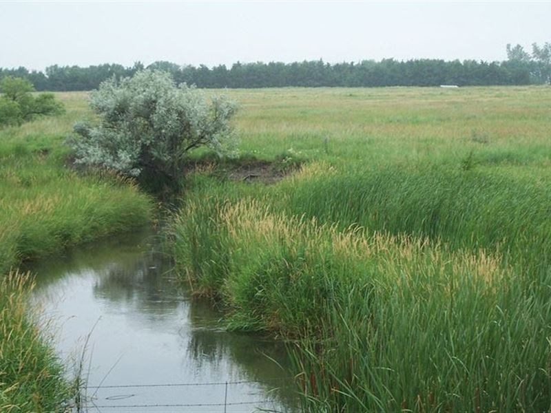 Walker Road Pivots and Range : North Platte : Lincoln County : Nebraska