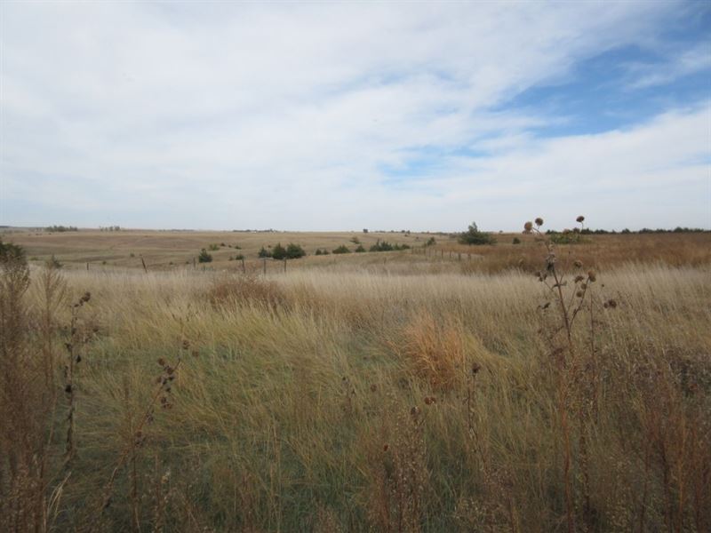 Eustis Crep and Range : Eustis : Frontier County : Nebraska
