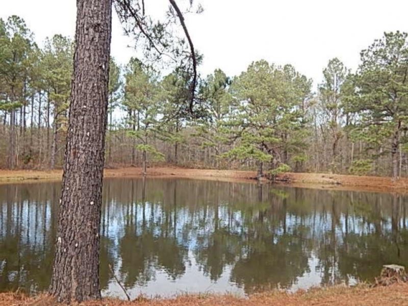 103 Acres in Rankin County Known As : Brandon : Rankin County : Mississippi