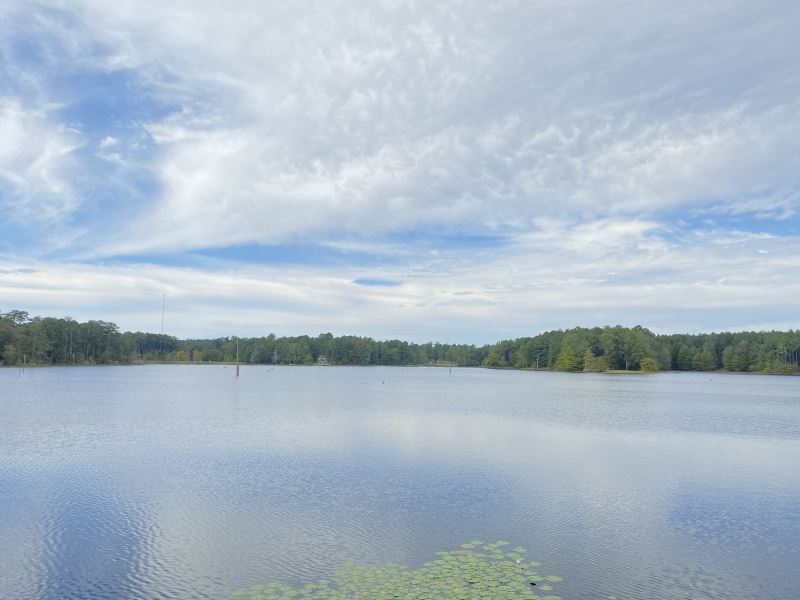 174.1 Acres with A Home in Rankin : Brandon : Rankin County : Mississippi