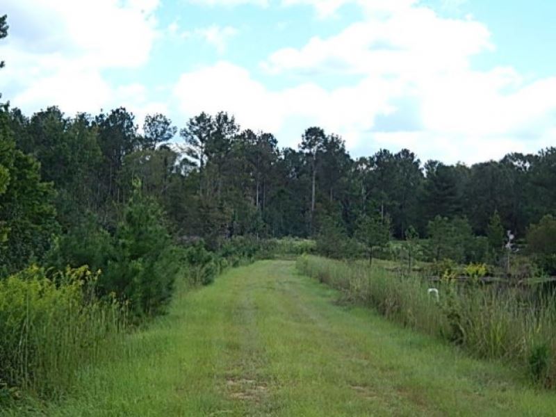 74 Acres in Rankin County Known As : Brandon : Rankin County : Mississippi