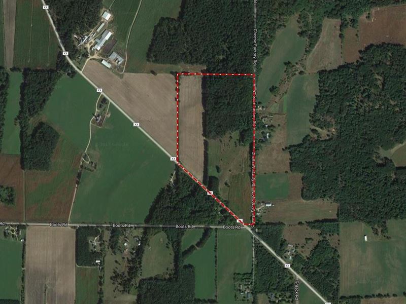 67 Acres Hunting and Buildable : Wisconsin Dells : Columbia County : Wisconsin