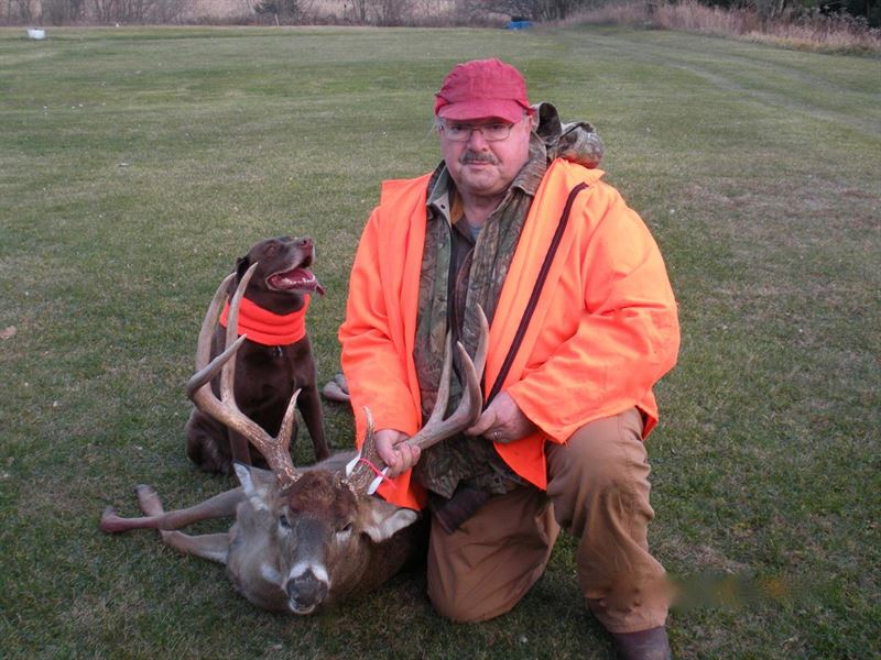 Phenomenal Hunting Property Sw Wi : La Farge : Vernon County : Wisconsin