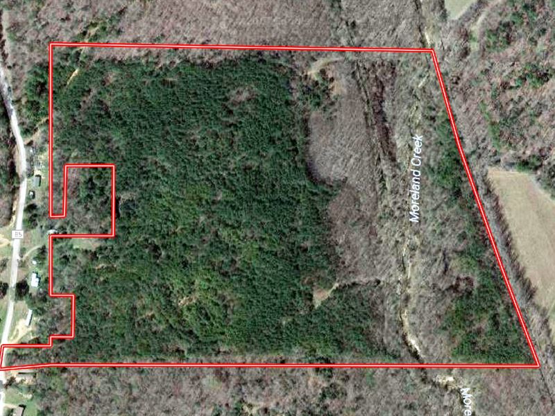53.3 Ac Hunting Land Close 2 Oxford : Coffeeville : Yalobusha County : Mississippi