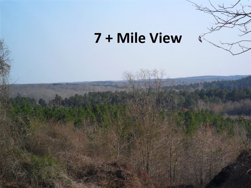 81.2 Acres, Land with Old Cabin : Ashland : Benton County : Mississippi