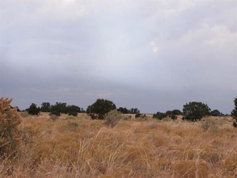 246 Acres for Sale in Trinidad, Co : Trinidad : Las Animas County : Colorado