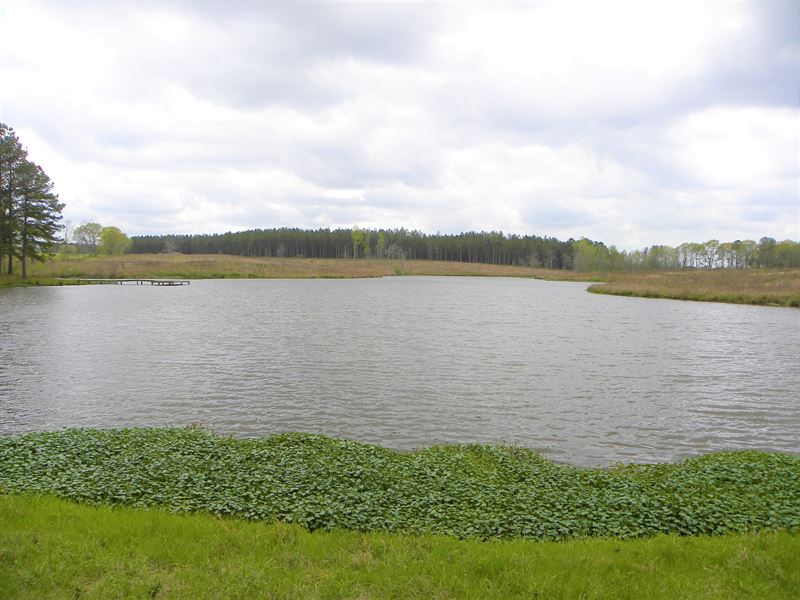 24-033B Gin Creek Lake : Luverne : Crenshaw County : Alabama