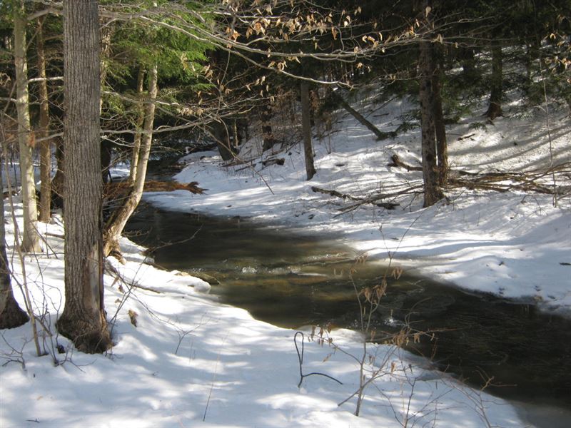 20 Acres Watkins Glen Ny Forest : Orange : Schuyler County : New York