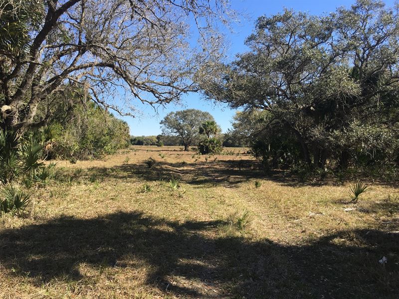 608+/- Acres Triple Diamond J Ranch : Okeechobee : Okeechobee County : Florida