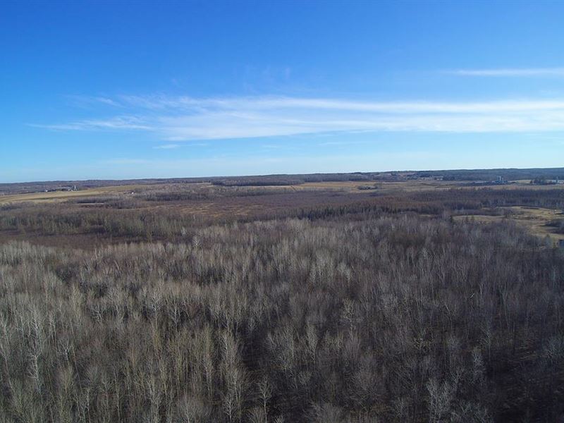 285 Acre Hunting Parcel Buildable : Cornell : Chippewa County : Wisconsin