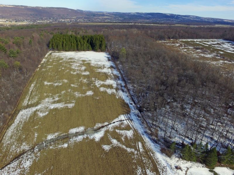 13 Acres Dansville Ny Farmland : Ossian : Livingston County : New York