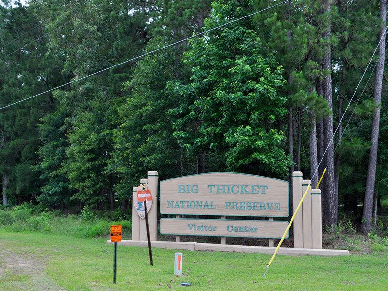 183 Ac Fm 420 : Kountze : Hardin County : Texas