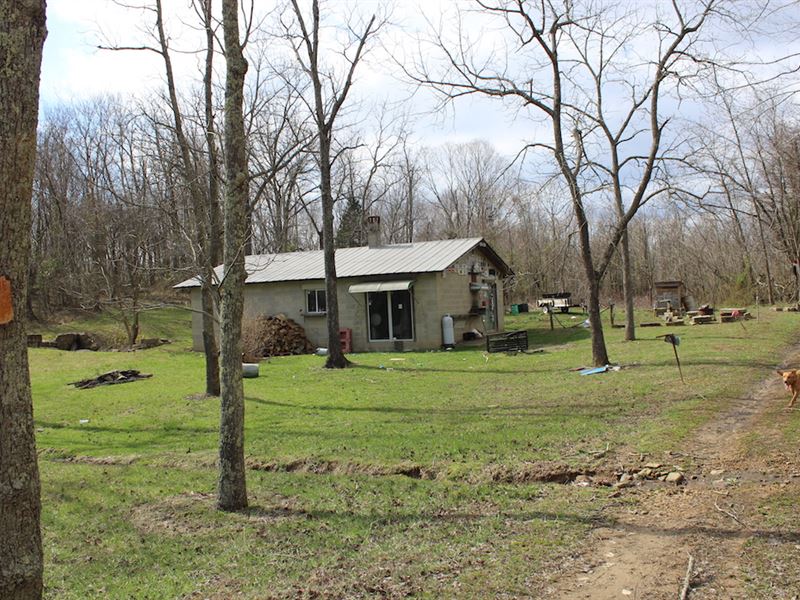 Sizemore Rd - 70 Acres : Lucasville : Pike County : Ohio